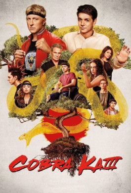 مسلسل Cobra Kai الموسم الثالث مترجم
